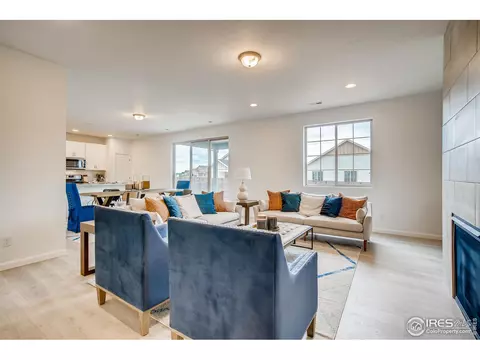 1789 Branching Canopy Dr, Windsor, CO 80550 photo 5
