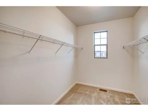 1789 Branching Canopy Dr, Windsor, CO 80550 photo 18