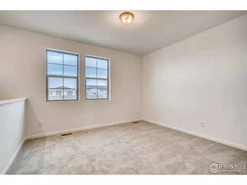 1789 Branching Canopy Dr, Windsor, CO 80550 photo 22