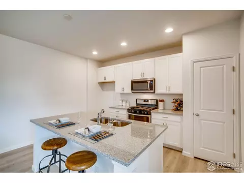 1789 Branching Canopy Dr, Windsor, CO 80550 photo 8