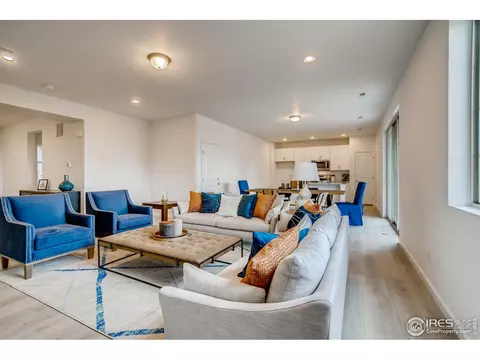 1789 Branching Canopy Dr, Windsor, CO 80550 photo 4