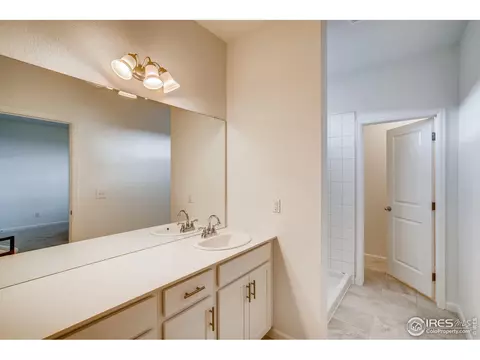 1789 Branching Canopy Dr, Windsor, CO 80550 photo 19