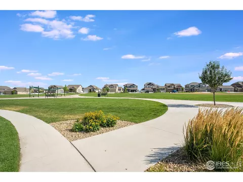 931 Mt Shavano Ave, Severance, CO 80550 photo 29
