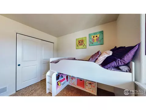 931 Mt Shavano Ave, Severance, CO 80550 photo 22