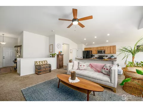 931 Mt Shavano Ave, Severance, CO 80550 photo 6
