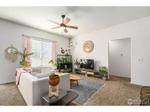 931 Mt Shavano Ave, Severance, CO 80550 photo 7