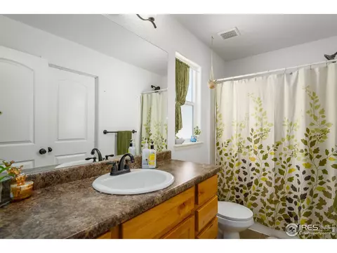931 Mt Shavano Ave, Severance, CO 80550 photo 18