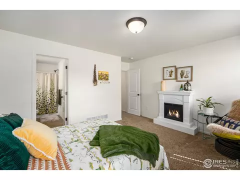 931 Mt Shavano Ave, Severance, CO 80550 photo 16