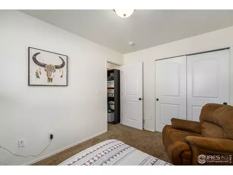931 Mt Shavano Ave, Severance, CO 80550 photo 20