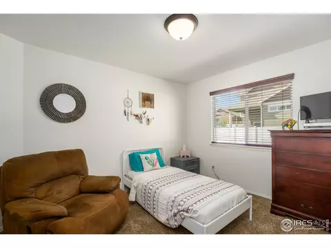931 Mt Shavano Ave, Severance, CO 80550 photo 19