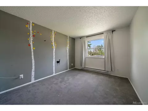 4884 S Braun St, Morrison, CO 80465 photo 27