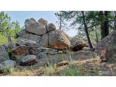 306 Pinewood Dr, Lyons, CO 80540 photo 29
