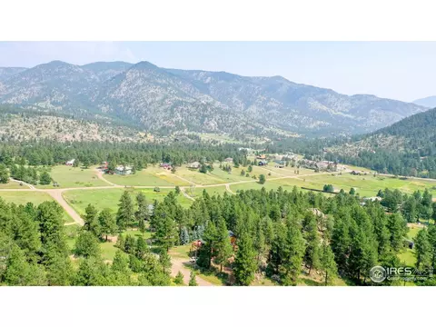 306 Pinewood Dr, Lyons, CO 80540 photo 3