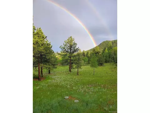 286 Forest Ridge Rd, Pine, CO 80470 photo 7