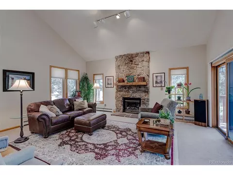 286 Forest Ridge Rd, Pine, CO 80470 photo 16