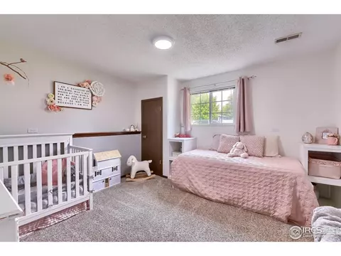 335 Maple Dr, Frederick, CO 80530 photo 19