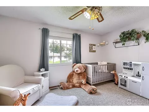 335 Maple Dr, Frederick, CO 80530 photo 15