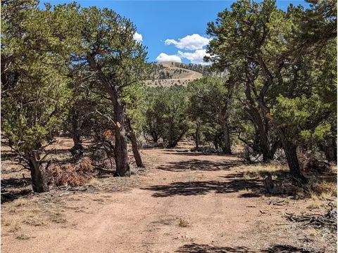 7814 Mallott Rd, Fort Garland, CO 81133