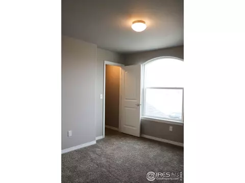 1657 Northcroft Dr, Windsor, CO 80550 photo 26