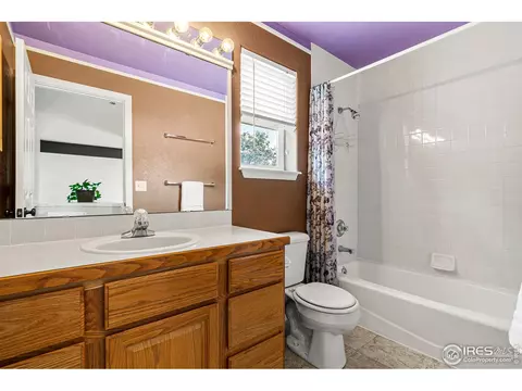 215 Eagle Ave, Mead, CO 80542 photo 27