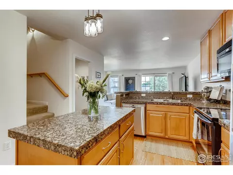 8767 E 25th Ave, Denver, CO 80238 photo 3