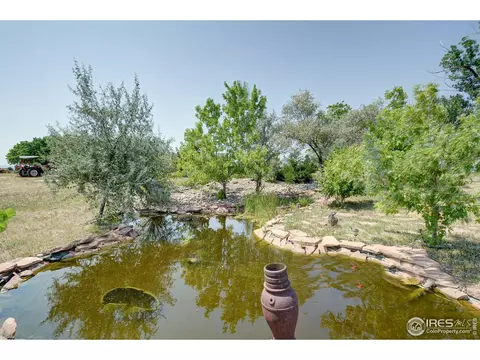3401 Erving Ct, Berthoud, CO 80513 photo 35