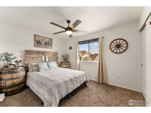 645 Mt Princeton Dr, Severance, CO 80550 photo 15