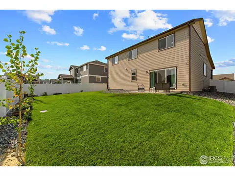 645 Mt Princeton Dr, Severance, CO 80550 photo 22