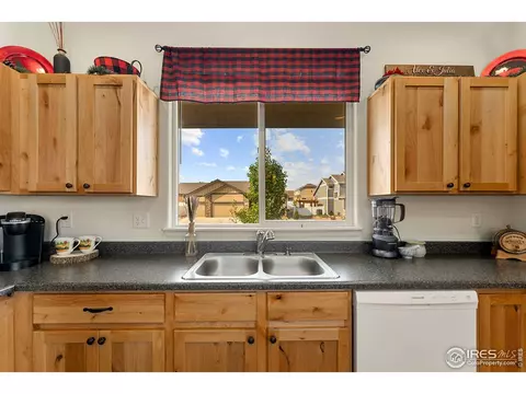 645 Mt Princeton Dr, Severance, CO 80550 photo 9