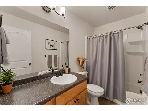 645 Mt Princeton Dr, Severance, CO 80550 photo 21