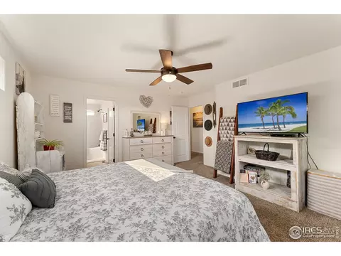 645 Mt Princeton Dr, Severance, CO 80550 photo 17