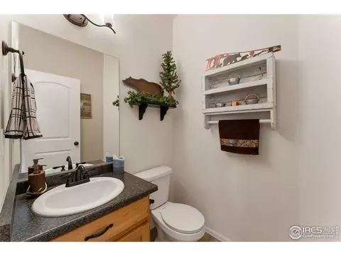 645 Mt Princeton Dr, Severance, CO 80550 photo 12