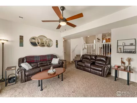 645 Mt Princeton Dr, Severance, CO 80550 photo 13