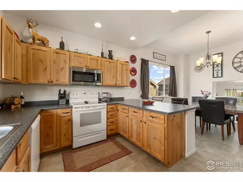 645 Mt Princeton Dr, Severance, CO 80550 photo 8
