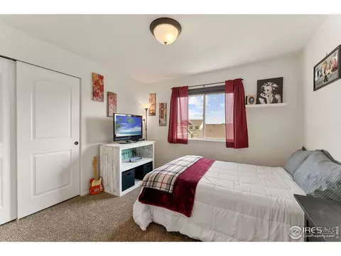 645 Mt Princeton Dr, Severance, CO 80550 photo 18