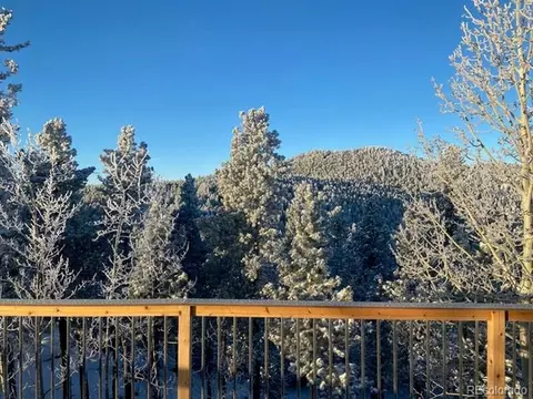 10523 Beas Ln, Conifer, CO 80433 photo 50