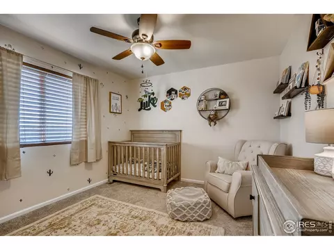 389 Chipman Dr, Windsor, CO 80550 photo 17