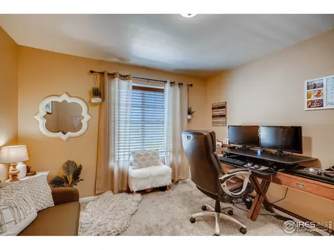 389 Chipman Dr, Windsor, CO 80550 photo 22