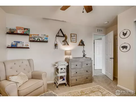 389 Chipman Dr, Windsor, CO 80550 photo 20