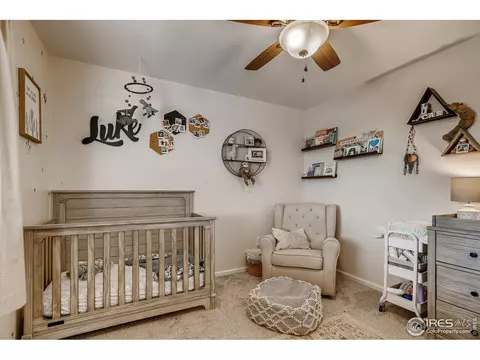 389 Chipman Dr, Windsor, CO 80550 photo 18
