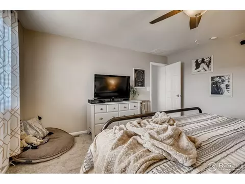 389 Chipman Dr, Windsor, CO 80550 photo 14