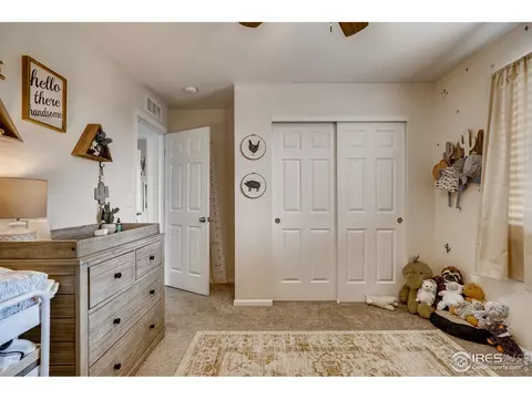 389 Chipman Dr, Windsor, CO 80550 photo 19