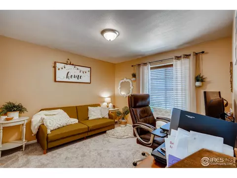 389 Chipman Dr, Windsor, CO 80550 photo 21