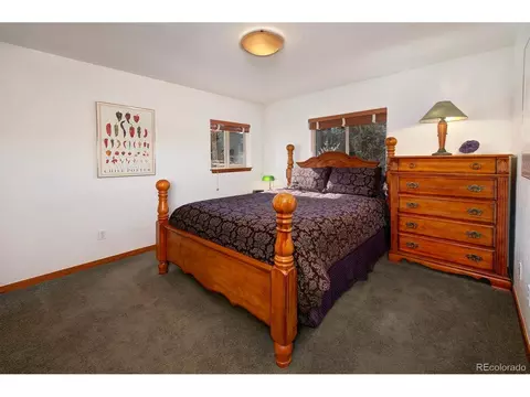 39 Montane Ct, Dillon, CO 80435 photo 35