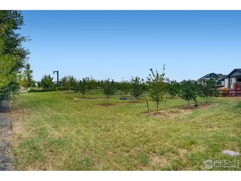 2114 Honeybee Dr, Windsor, CO 80550 photo 35