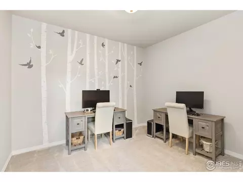 4609 Pompano Dr, Windsor, CO 80550 photo 23