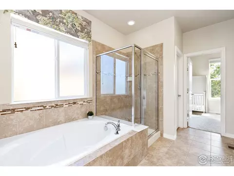 4609 Pompano Dr, Windsor, CO 80550 photo 18