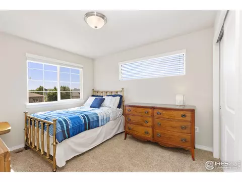 4609 Pompano Dr, Windsor, CO 80550 photo 24