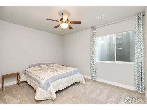 4609 Pompano Dr, Windsor, CO 80550 photo 27