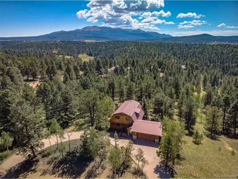 3151 Blue Mesa Dr, Divide, CO 80814 photo 3